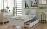 Twin size Platform Bed with Two Drawers, White