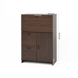 Desk Cabinet, with Storage Drawer & Shelves, Fold-up Desktop, Ideal for Home, Office, Kitchen storage organizer, Dormitory, Small Spaces W31.49"xD13.78"xH47.2"