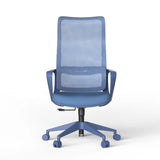 Ergonomic Colorful Office Chair 500lb (About 226.8kg) Home Office Mesh Breathable High Back, With Adjustable Lumbar Support Computer Chair, Integrated Molded Foam Seat Cushion, Fireproof (Blue)