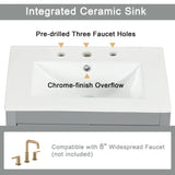 24" Bathroom Vanity with Sink, Bathroom Vanity Cabinet with Two Drawers and Door, Adjustable Shelf, Solid Wood and MDF, Grey (Old Sku:WF309411AAE)
