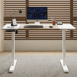 55"×24" White&Oak Electric Standing Desk Height Adjustable Desk for Home and Office Computer Table Gaming Desk Modern Lift-up Desk