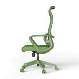 Ergonomic Colorful Office Chair 500lb (About 226.8kg) Home Office Mesh Breathable High Back, With Adjustable Lumbar Support Computer Chair, Integrated Molded Foam Seat Cushion, Fireproof (Green)
