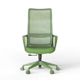 Ergonomic Colorful Office Chair 500lb (About 226.8kg) Home Office Mesh Breathable High Back, With Adjustable Lumbar Support Computer Chair, Integrated Molded Foam Seat Cushion, Fireproof (Green)