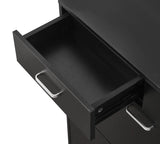Large size Shoe Cabinet,Free Standing Tipping Bucket Shoe Rack Organizer with 2 Flip Drawers&2 Drawer,Modern Tipping Bucket for Entryway,Hallway,Bedroom-black