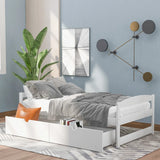 Twin size platform bed, with two drawers, gray