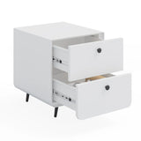 Modern Night Stand Storage Cabinet for Living Room Bedroom, Steel Cabinet with 2 Drawers,Bedside Furniture, circular handle