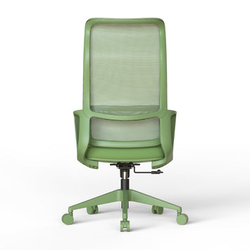 Ergonomic Colorful Office Chair 500lb (About 226.8kg) Home Office Mesh Breathable High Back, With Adjustable Lumbar Support Computer Chair, Integrated Molded Foam Seat Cushion, Fireproof (Green)