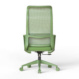 Ergonomic Colorful Office Chair 500lb (About 226.8kg) Home Office Mesh Breathable High Back, With Adjustable Lumbar Support Computer Chair, Integrated Molded Foam Seat Cushion, Fireproof (Green)