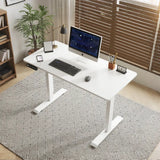 55"×24" White Double Beam Electric Standing Desk Height Adjustable Desk for home and office Standing desk frame with Sliced Board
