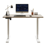 48"×24" Oak Color Electric Standing Desk Height Adjustable Desk for Home and Office Computer Table Gaming Desk Modern Lift-up Desk