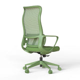 Ergonomic Colorful Office Chair 500lb (About 226.8kg) Home Office Mesh Breathable High Back, With Adjustable Lumbar Support Computer Chair, Integrated Molded Foam Seat Cushion, Fireproof (Green)